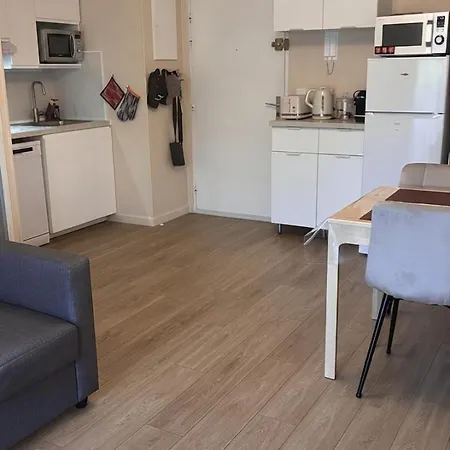 Appartement Très Joli T2 De 40m2 à 300m Clim, Balcon, Garage, Cosy Et Confort Cavalaire-sur-Mer